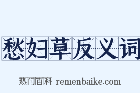 愁妇草反义词是什么意思的图片